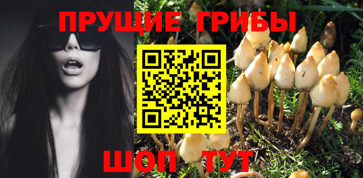 Псилоцибиновые грибы Cubensis  Вход с VPN  Медногорск  Галлюциногенные грибы Magic Shrooms 
