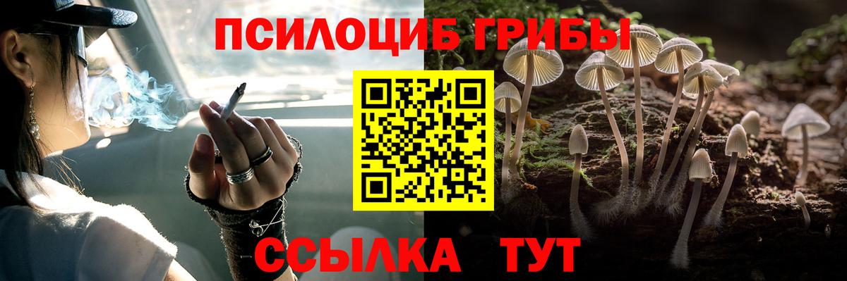 Псилоцибиновые грибы ЛСД Медногорск